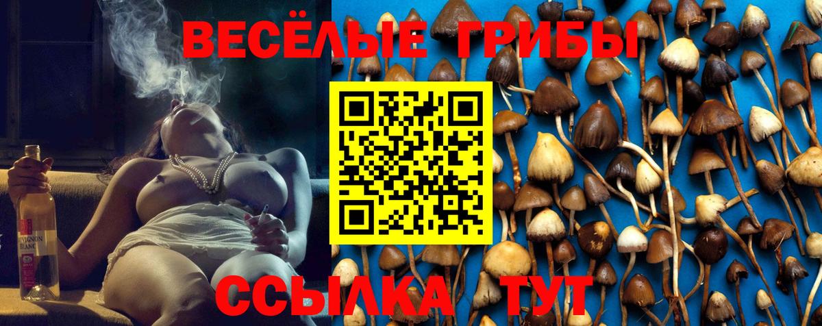 дарнет шоп  Псилоцибиновые грибы Cubensis  Галлюциногенные грибы MAGIC MUSHROOMS  Вход с VPN  Чебаркуль 