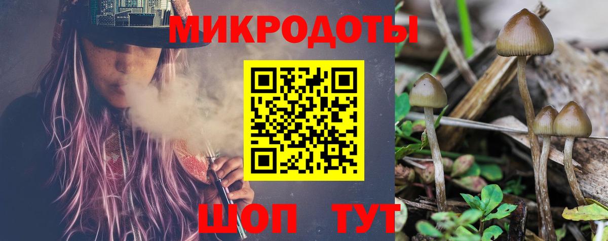 Псилоцибиновые грибы MAGIC MUSHROOMS Чебаркуль
